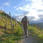 Zur Loreley - Garni