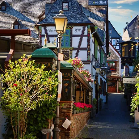 Hotel Hotel Zur Loreley Garni Mit Grossem Fahrradraum 3*