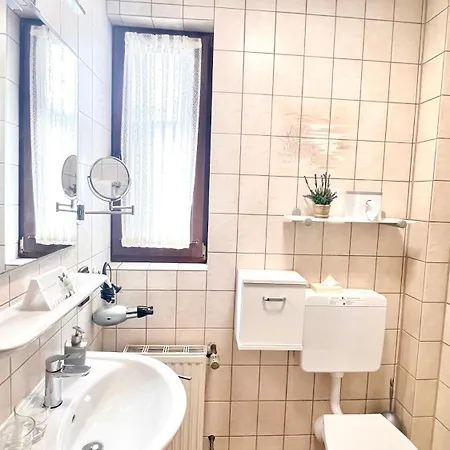 Hotel zur Loreley - Garni